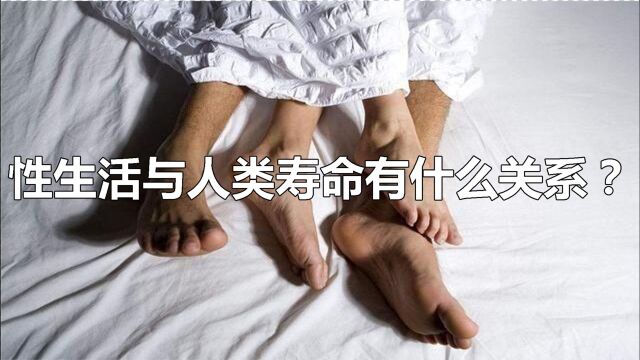 性生活与我们人类的寿命有关系吗?