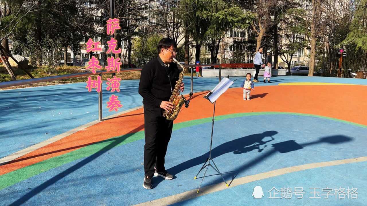 红枣树二胡演奏图片