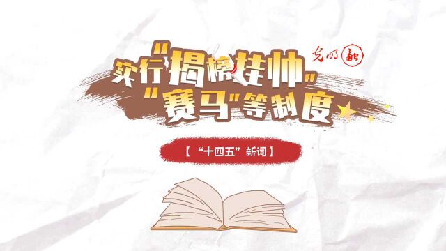 【“十四五”新词】“实行'揭榜挂帅'、'赛马'等制度”