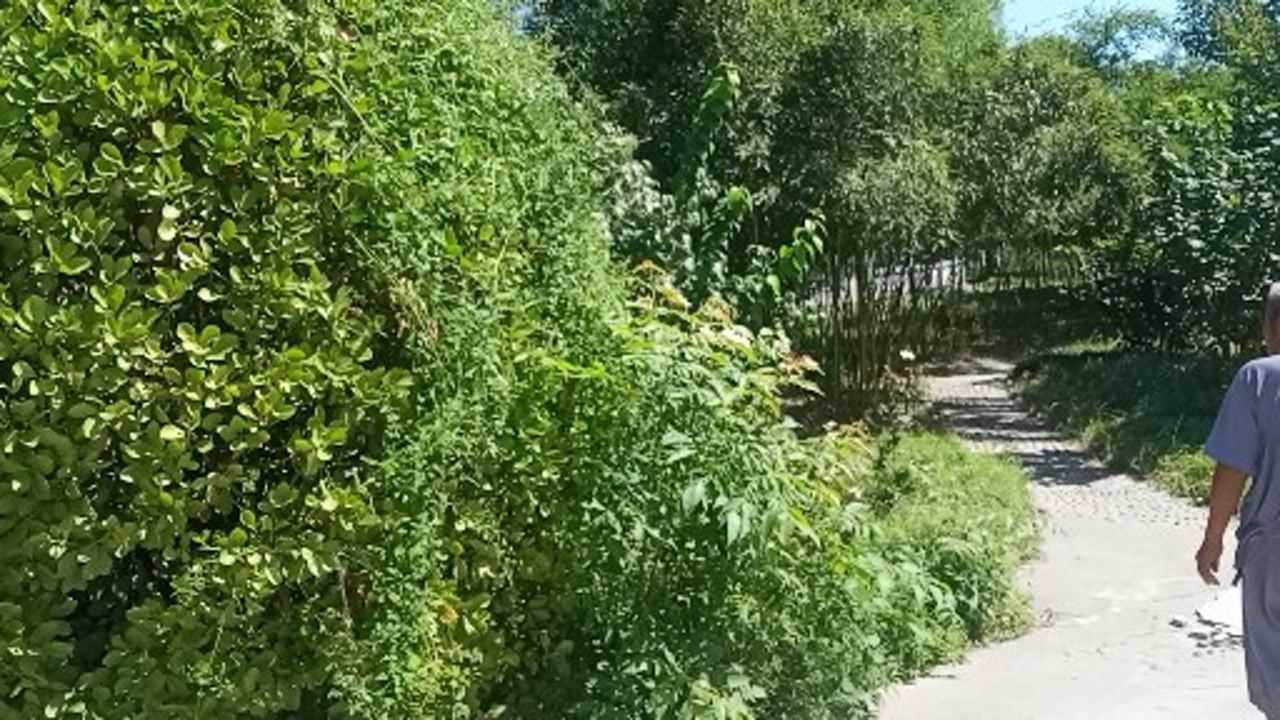 王铎故居后花园,再芝园风景2