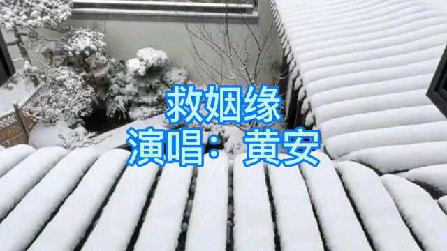 听这首经典歌曲《救姻缘》