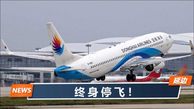 机长和乘务员高空互殴,东海航空定最终处罚:罚完这俩,还没完事