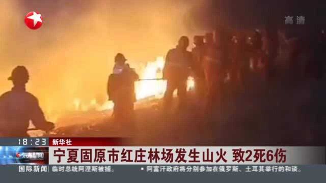 宁夏固原市红庄林场发生山火 致2死6伤