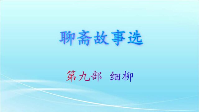 聊斋故事选第九部细柳