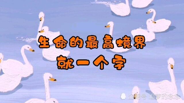 生命中最高境界就1个字!悟道了你的人生充满智慧