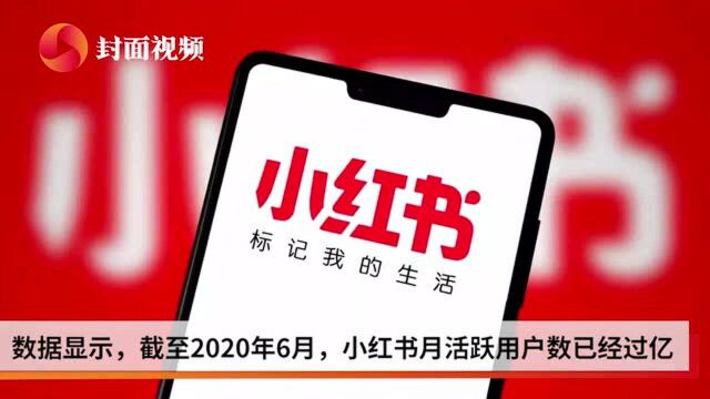 小红书任命前花旗高管杨若担任CFO,暂无IPO计划