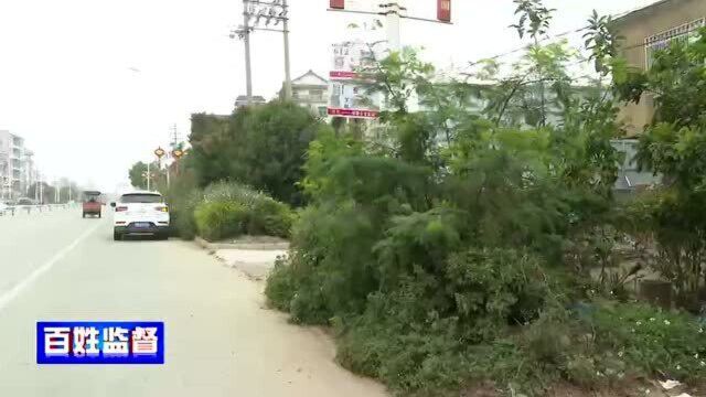 省道306线公交停靠站点简陋无管理 市民候车不便1