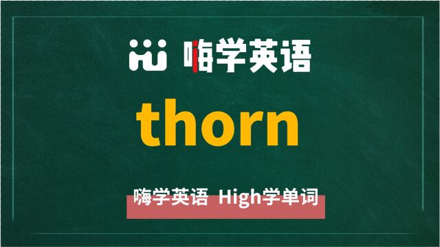 英语单词thorn是什么意思,同根词有吗,同近义词有哪些,相关短语呢,可以怎么使用,你知道吗