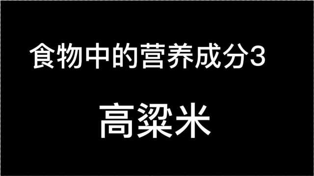 食物中的营养成分3高粱米#健东#