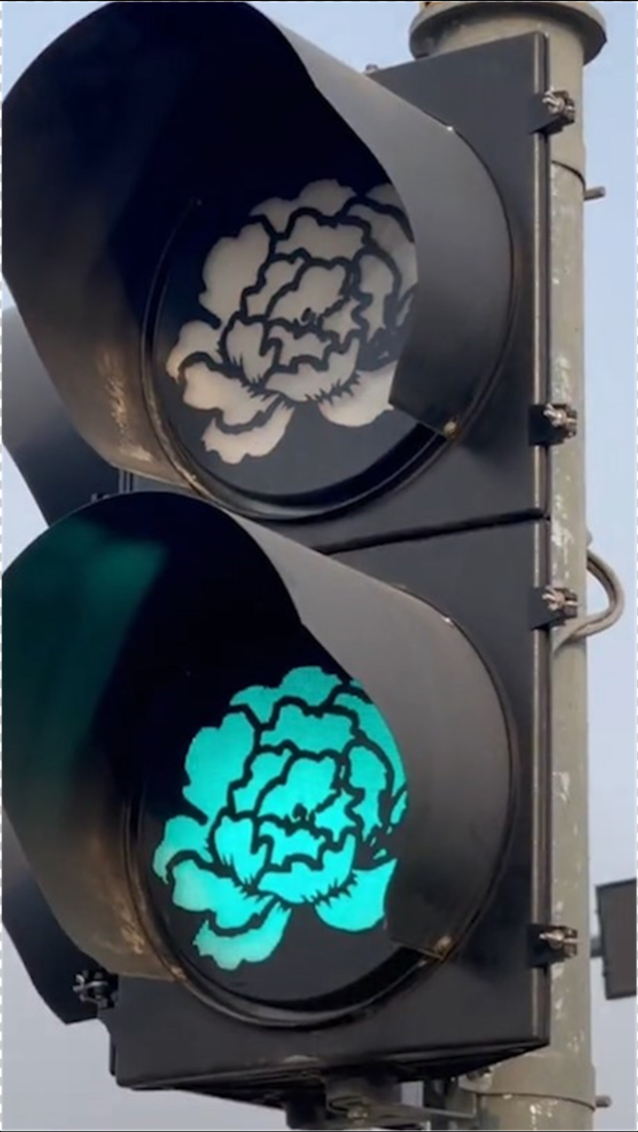 洛阳部分红绿灯变成牡丹形状网友等红灯心情都好了