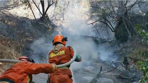 现场！四川甘孜九龙县发生森林火灾，火场地处悬崖绝壁：正在扑救