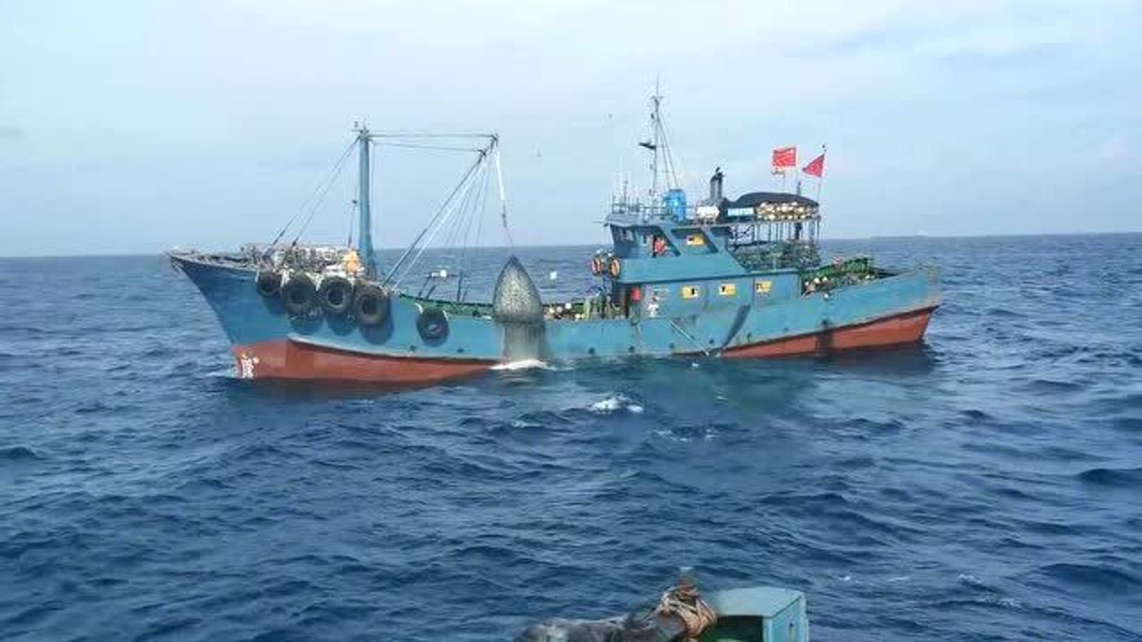 带你观看价值1200万的双拖大渔船,深海真实捕鱼全过程,厉害了