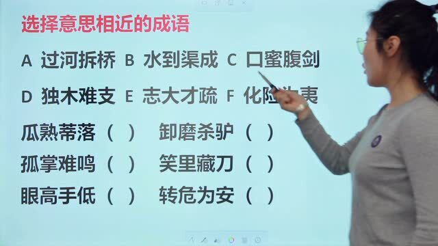 选择意思相近的成语,分别填入下面的括号里,你试试看