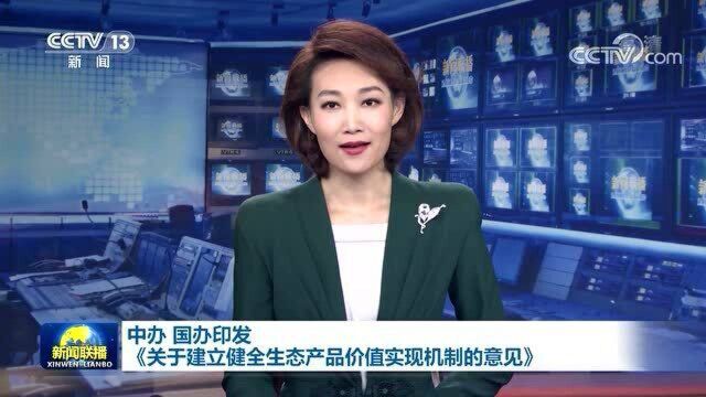 中办 国办印发《关于建立健全生态产品价值实现机制的意见》