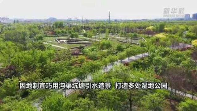 河北峰峰:“湿地公园群落”助力老工矿区绿色转身