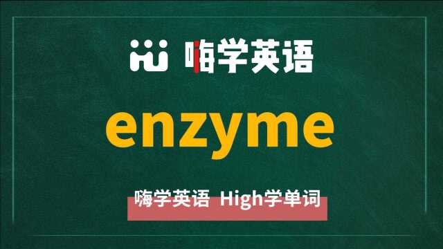 一分钟一词汇,小学、初中、高中英语单词五点讲解,单词enzyme讲解