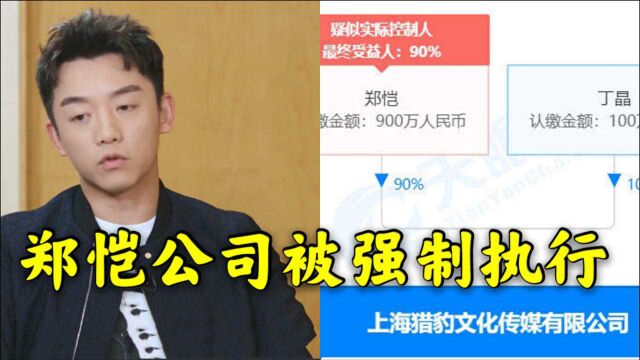 郑恺公司被强制执行!欠钱3300万数月未还,期间还开了火锅店