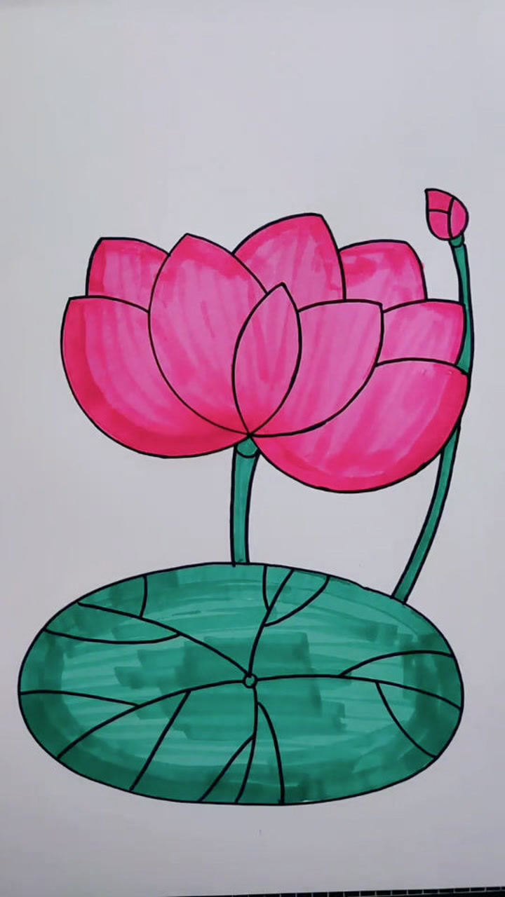 荷花总是画不好,教你一招简单又好看