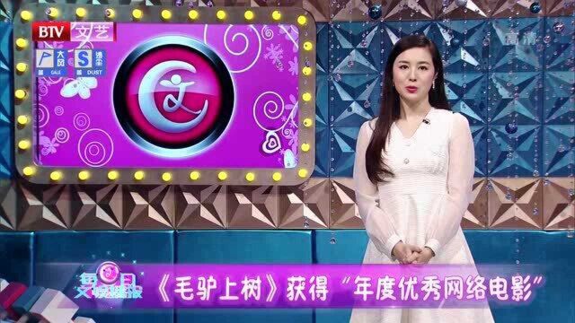 《毛驴上树》获得“年度优秀网络电影”