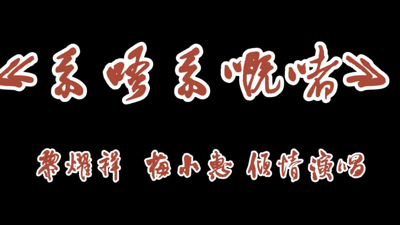 黎耀祥/梅小惠倾情演唱《系唔系嘅啫》超搞笑