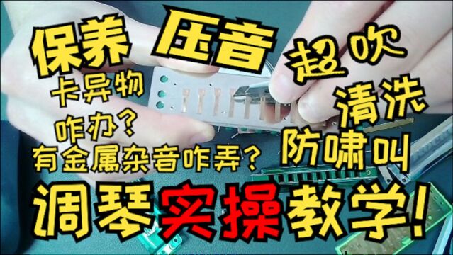 【口琴燃料】调琴实操系列教程!能让口琴乖乖听话的教程~