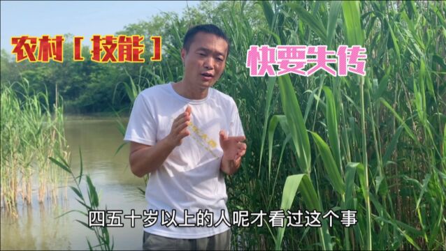 农村有一项“特殊技能”快要消失了,只需一片芦苇叶,大家来看看