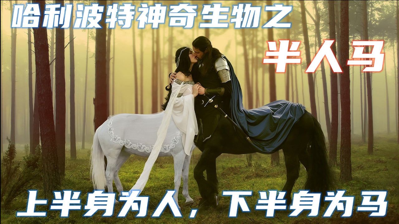 哈利波特的半人马占卜天赋胜过特里劳妮却非常仇视人类