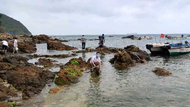 深圳西涌海滩