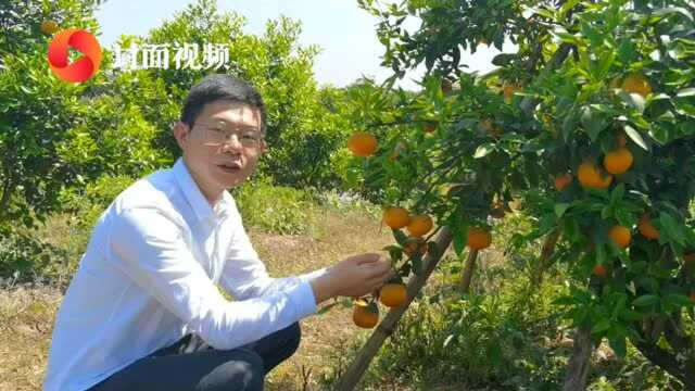 四川省脱贫攻坚先进个人朱翔宇:证书是认可 脱贫成果才是最大的褒奖