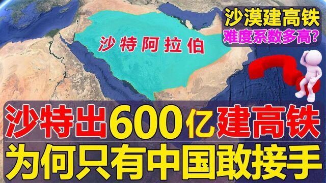 沙特出价600亿修高铁,世界各国为何不敢接?中国出手搞定了没?