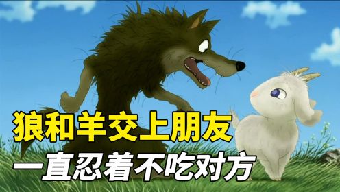 狼和羊交上朋友，一直忍着不吃对方！让人感动的日本电影