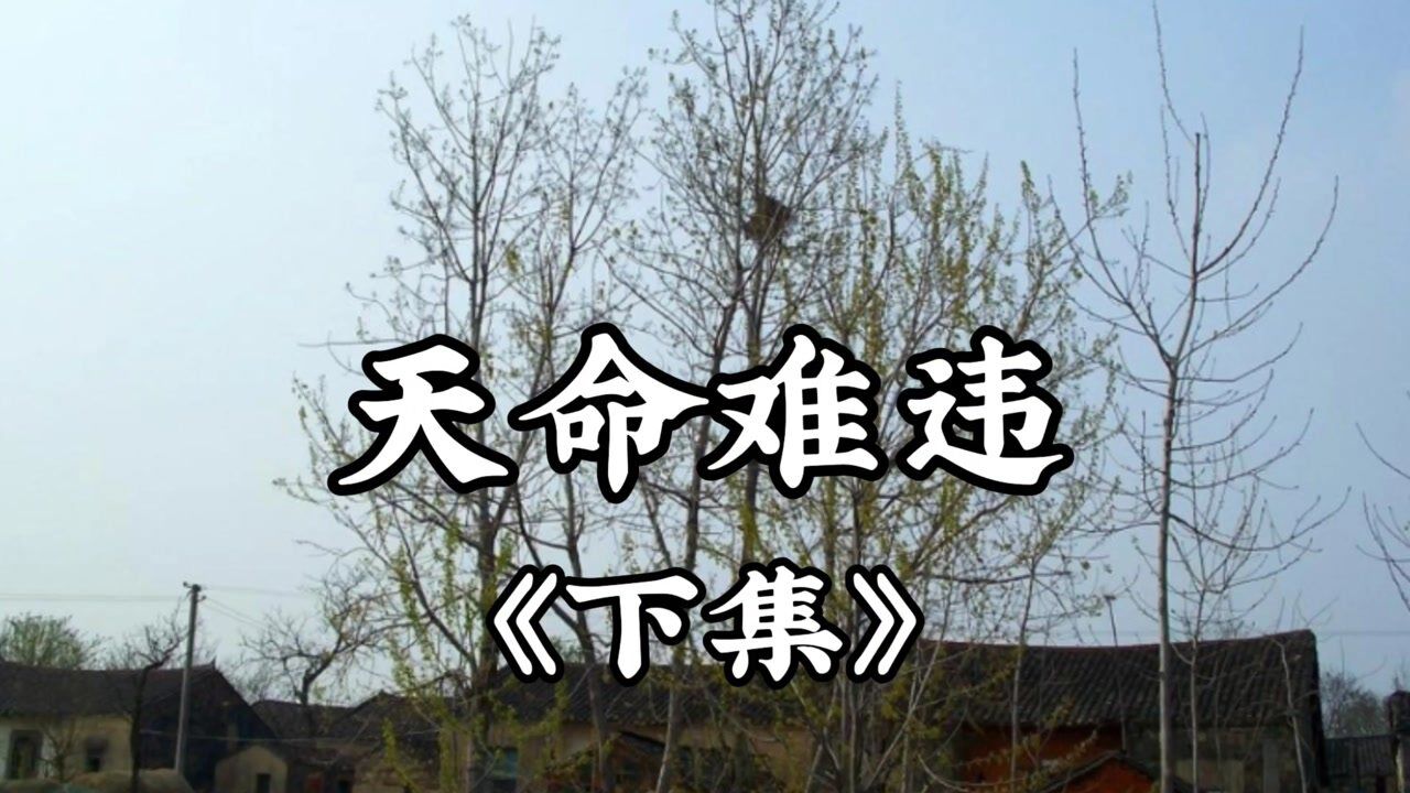 民间故事《天命难违》下集