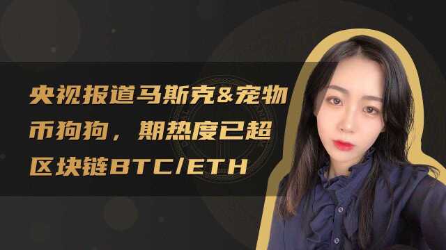 央视报道马斯克&宠物币狗狗,谷歌显示热度超区块链BTC