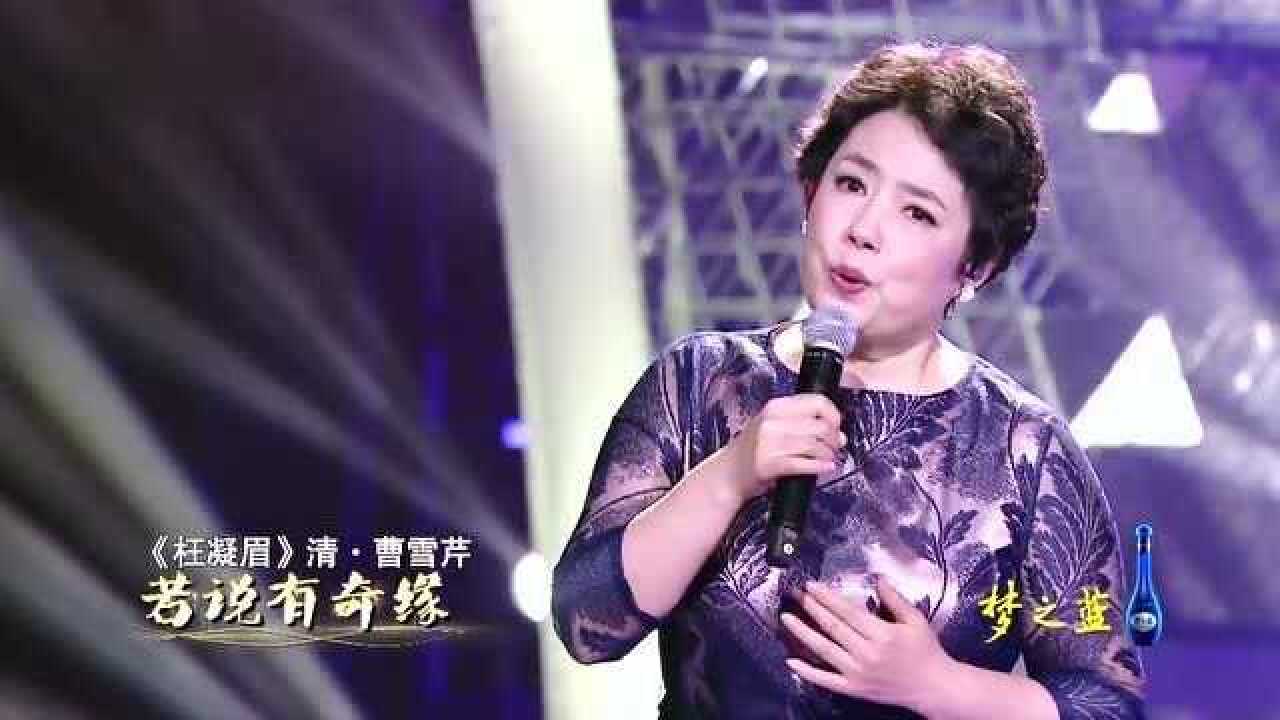 陈力与余少群合唱《枉凝眉》经典咏流传第一季