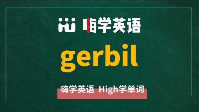 一分钟一词汇,小学、初中、高中英语单词五点讲解,单词gerbil你知道它是什么意思,可以怎么使用