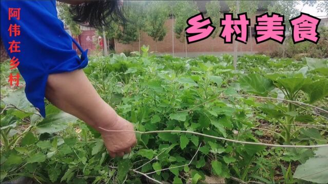 地头不起眼的野菜塌菜馍,吃着真不赖,口感柔嫩营养丰富!