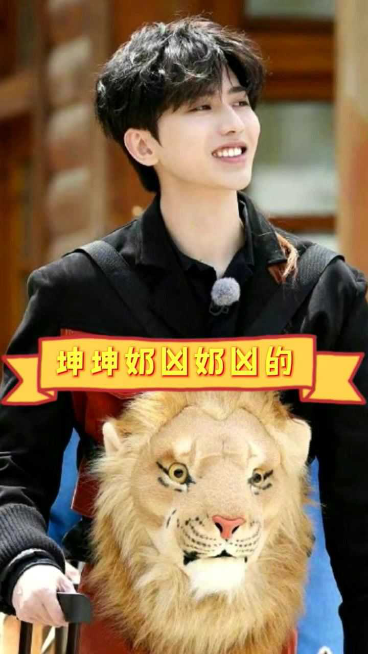 坤坤学狮子,奶凶奶凶的,这样子太可爱我就循环了亿遍吧