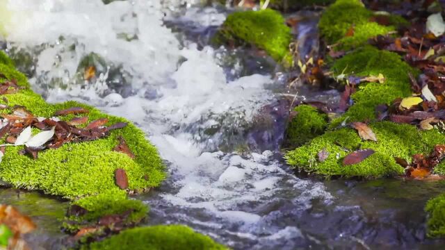 (电视通稿ⷥ›𝥆…ⷧ侤𜚩水清民富新淅川