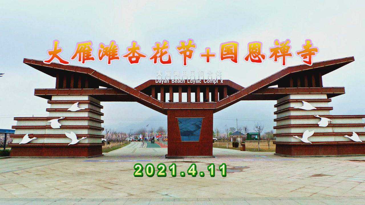 内蒙古青山绿水户外视频-大雁滩万亩杏花节2021.4.11