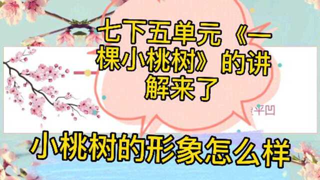 七下五单元《一棵小桃树》的讲解来了,小桃树的形象怎么样?