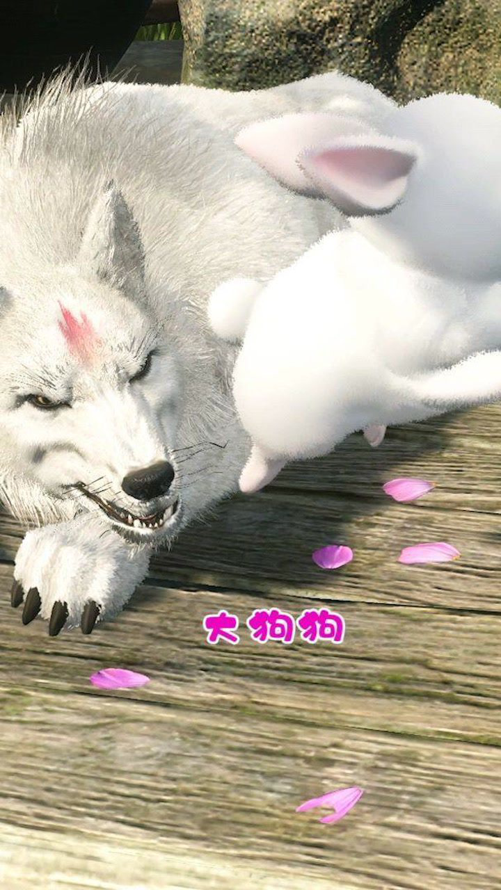 大狗狗!是狼