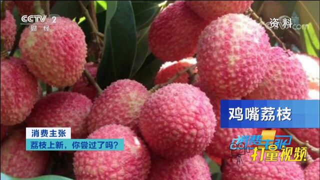 黑叶荔枝、糯米糍荔枝,荔枝种类多样,口感也各有不同