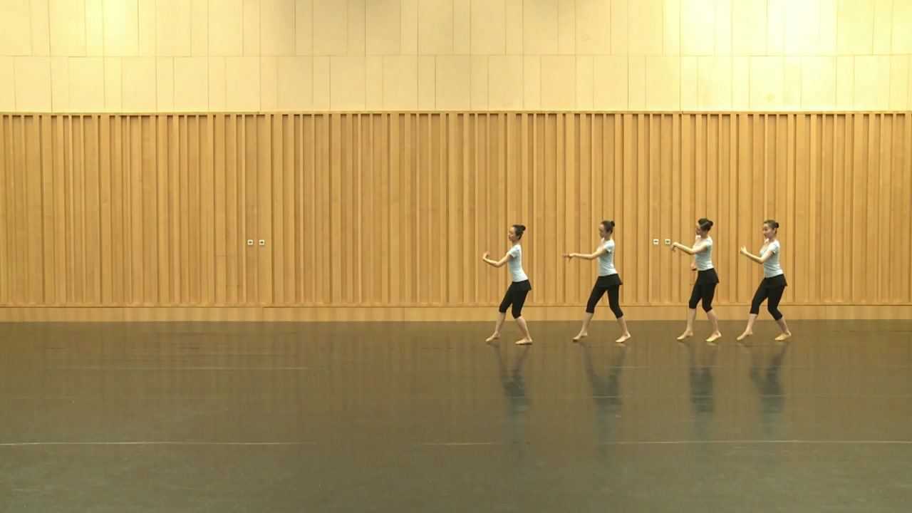 中国舞蹈家协会少儿舞蹈考级第十级:小卜少