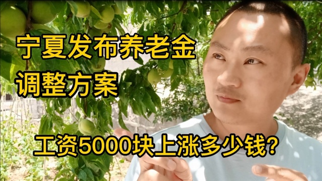 宁夏公布养老金调整方案,工资5000元能涨多少钱?看你能领多少钱