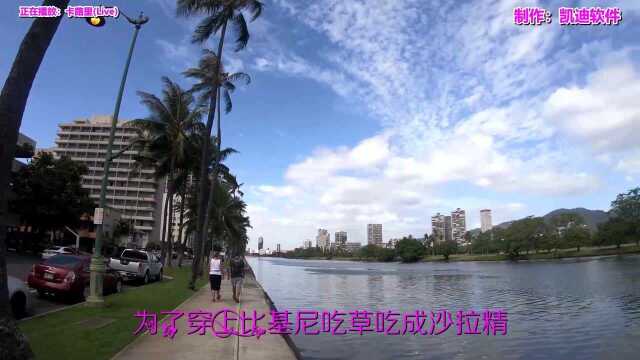 《卡路里(Live)》欣赏,电脑下载音乐mv免费的软件