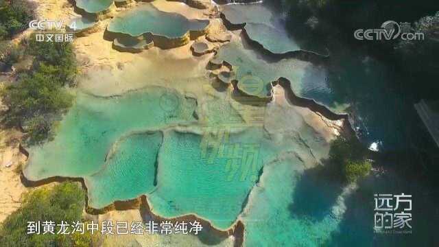 从高空俯瞰黄龙沟五彩池,像极了龙身上的鳞片