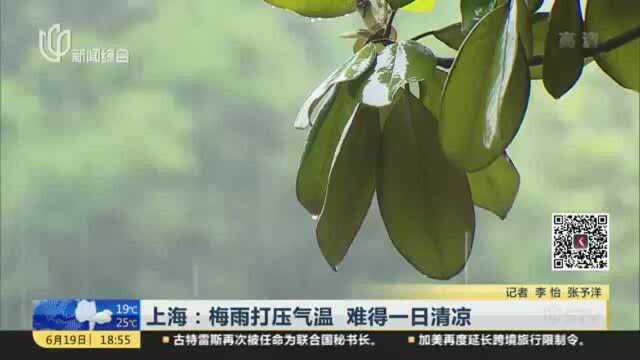 上海:梅雨打压气温 难得一日清凉