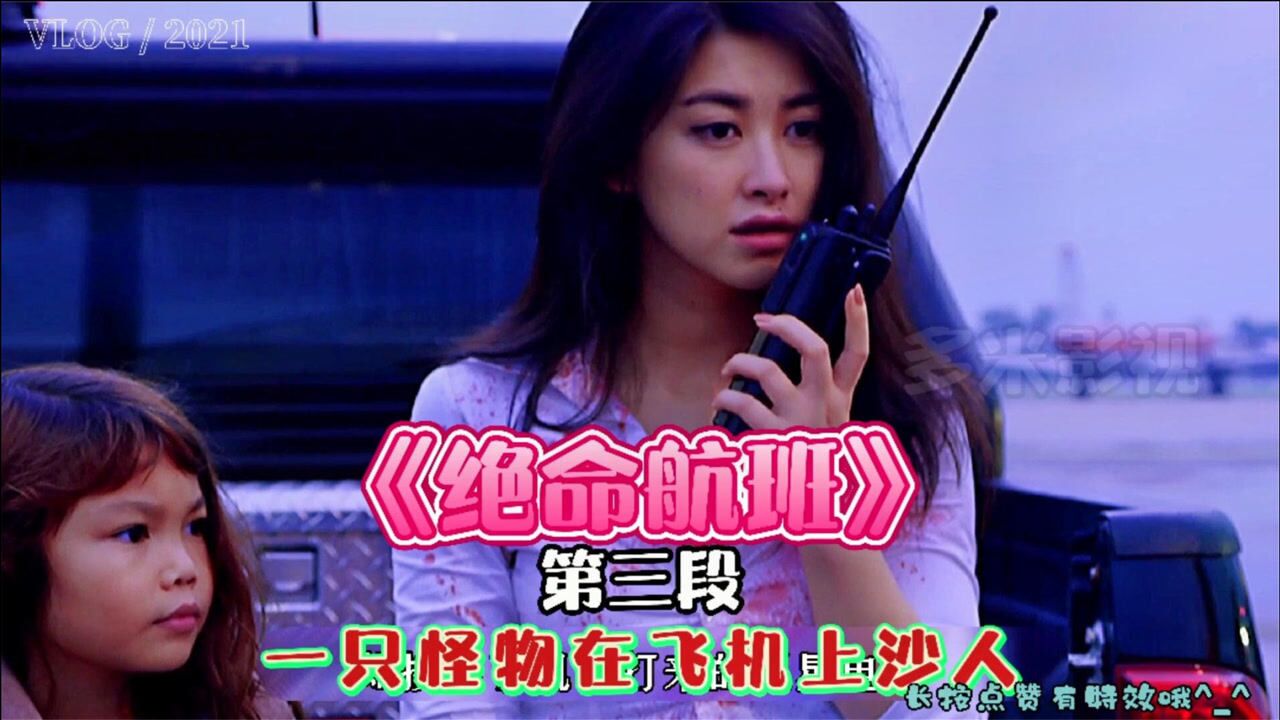 绝命航班:怪猫为了要回猫骨头,窜上飞机大沙四方,惊悚灾难片