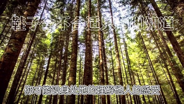 励志情感语录;鞋子合不合适只有脚知道!