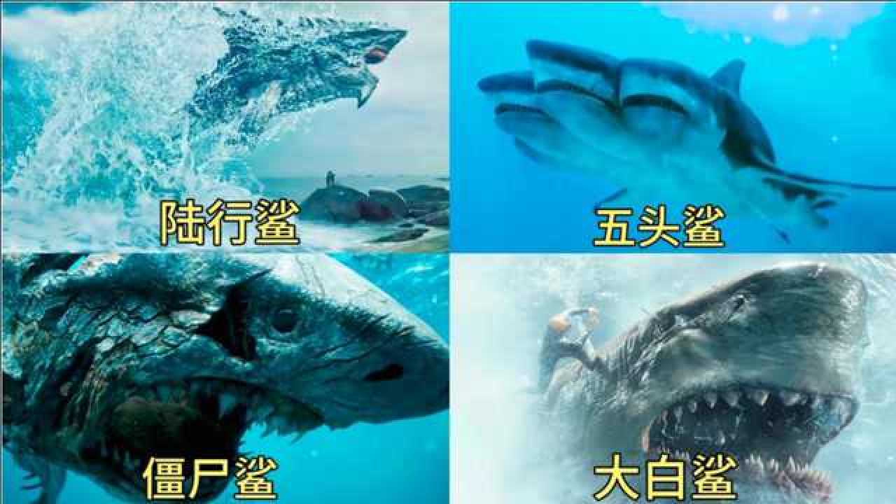 电影中这五只变异鲨鱼你觉得哪个更厉害五个头的鲨鱼第一